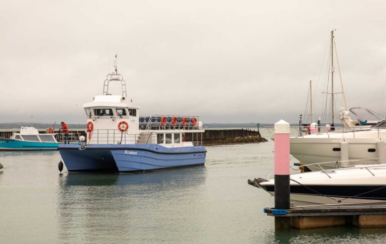 New rival ferry plans to take on Wightlink